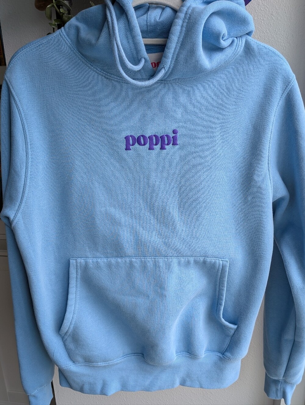 Poppi x Target Limited Edition Hoodie Blue The Future Served Fresh Size Small